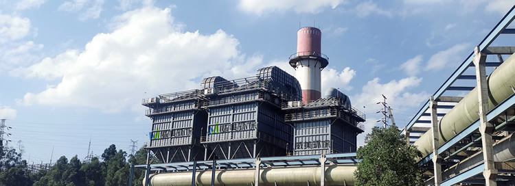 �׻���β�������늳��m��(j��ng)�䰸��